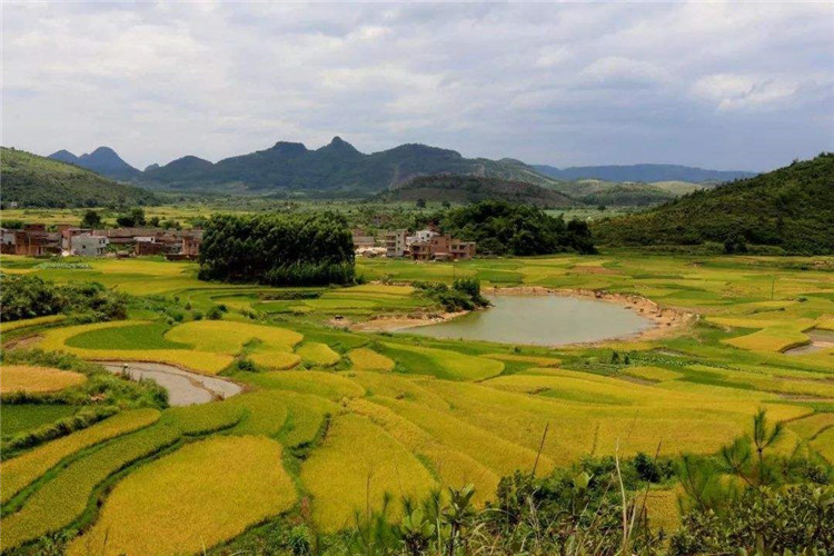 哪些途徑能知道旅游小程序的價格和費用2.jpg