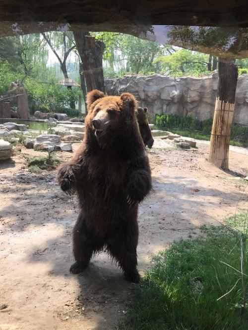 景區實名制預約系統趨勢，現北京市11家市屬公園中已有7家實施網絡實名制預約購票 (1).jpg