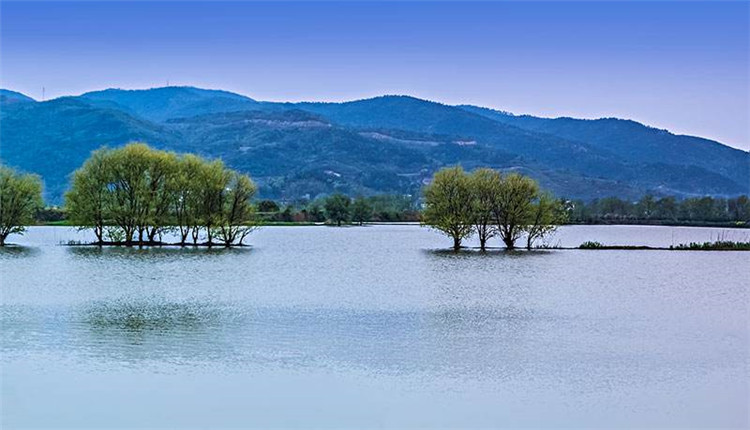 旅游行業(yè)疫情后的防控措施：河南景區(qū)推行分時預約4.jpg