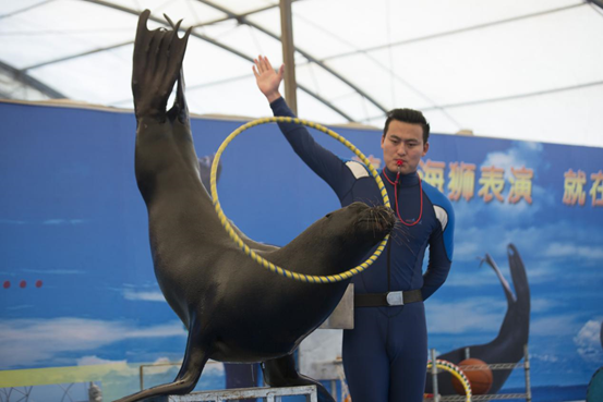 同業異質異地聯盟福利來了，雙龍峽避暑套餐門票全部上線，還可憑工體富國海底世界門票享雙龍峽8折優惠！.png