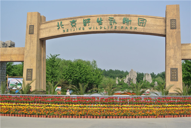 北京野生動(dòng)物園智能導(dǎo)覽系統(tǒng)上線，游覽路線推薦、多語(yǔ)種語(yǔ)音講解、VR全景等一應(yīng)俱全2.jpg