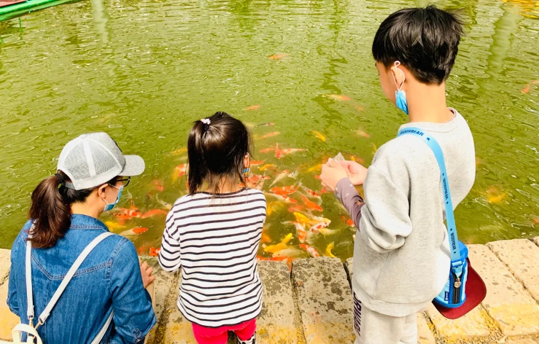 小雪已至，天氣漸涼，一起去九州伊甸園體驗熱帶風情吧.jpg