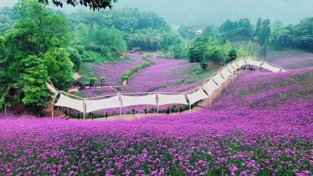 四川天府花溪谷手繪地圖、語音講解、電子導覽等智能導覽系統上線啦.jpeg