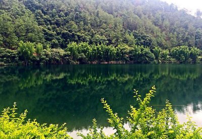 山西龍泉國家森林公園手繪地圖、語音講解、電子導(dǎo)覽等智能導(dǎo)覽系統(tǒng)上線.jpg