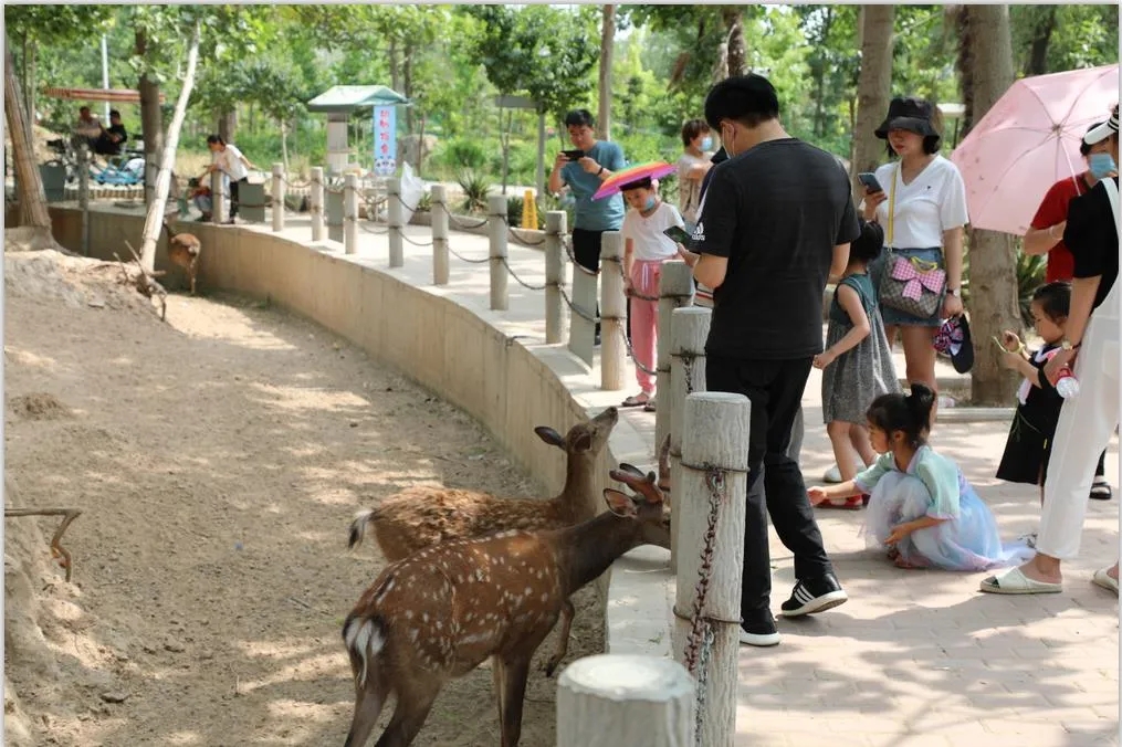 濮陽野生動物園抖音小程序上線了，短視頻掛載接入成功.jpg