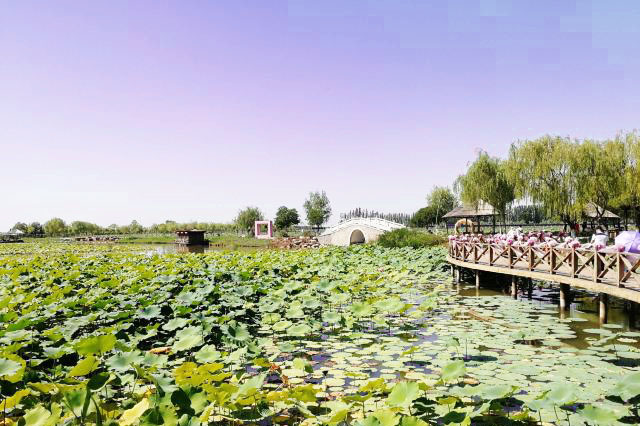 寧夏鳴翠湖國家濕地公園4A景區(qū)手繪地圖、語音講解、電子導覽等智能導覽系統(tǒng)上線.jpg