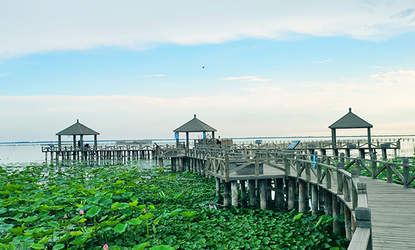 2021年內蒙古哈素海旅游景區手繪地圖、語音講解、電子導覽等智能導覽系統上線.jpg