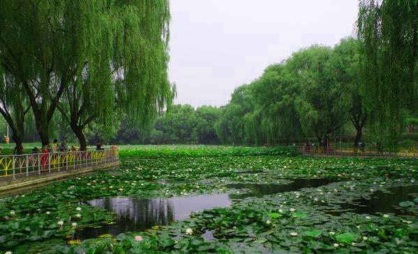 河北石家莊海山公園智能導覽系統上線，語音講解、線路推薦，出行更方便.jpg