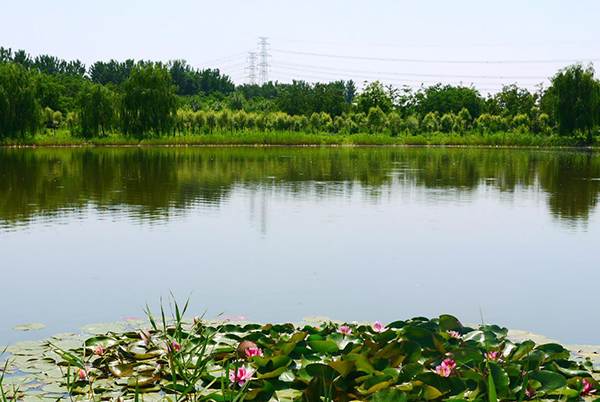 石家莊清涼灣濕地公園智能導(dǎo)覽四大功能助力景區(qū)打造生態(tài)文化樂園.qiniudn.jpg