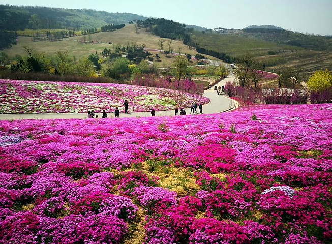 大連英歌石植物園智慧導覽系統(tǒng)，不僅僅是語音講解.jpg