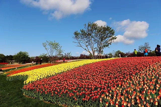 大連英歌石植物園智慧導覽系統(tǒng)，不僅僅是語音講解1.jpg