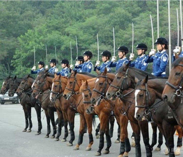 大連女騎警基地好玩嗎？讓我們通過智慧導覽系統先一睹為快吧.jpg