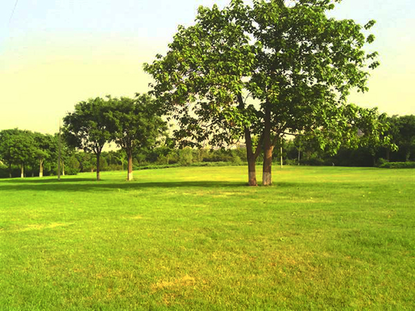 景區(qū)電子導覽系統(tǒng)為石津灌渠文化公園增添新氣色，秋游首選.jpg