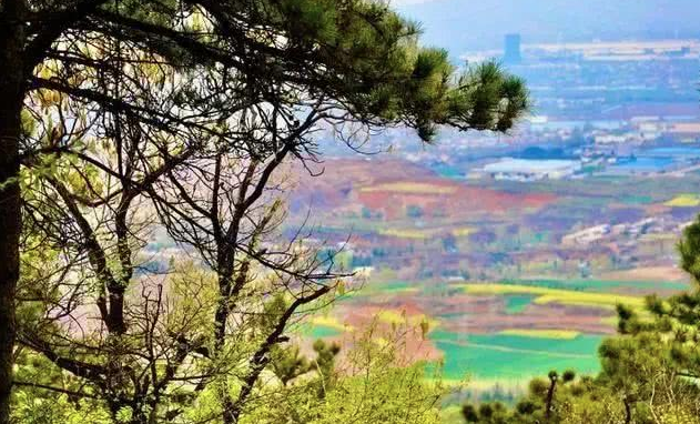 河南郁山國家森林公園智慧導覽助力旅游景區線上線下一體化建設.png