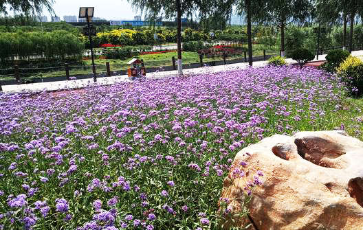 景區智慧導覽系統入駐鹿泉秀水公園了，秋游觀賞，一起體驗.jpeg