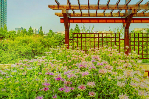 石家莊花卉園智能語音導覽系統服務商.jpg