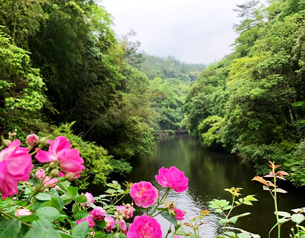 河北九龍潭風景區智慧電子導覽.jpg