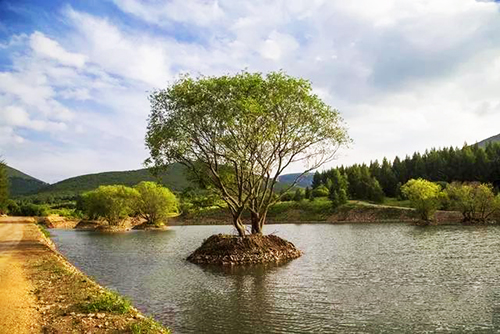 柳樹溝森林公園智慧電子導(dǎo)覽技術(shù)服務(wù)商.jpg