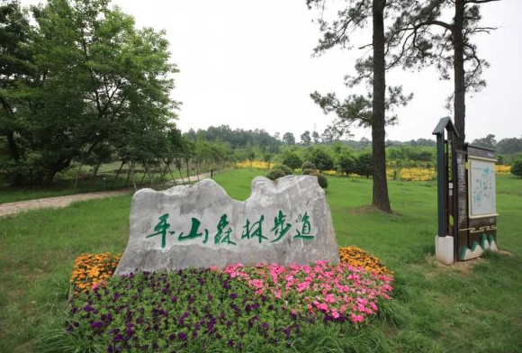 智慧語音導覽帶你了解電影《戰狼》的取景地南京平山森林公園.png