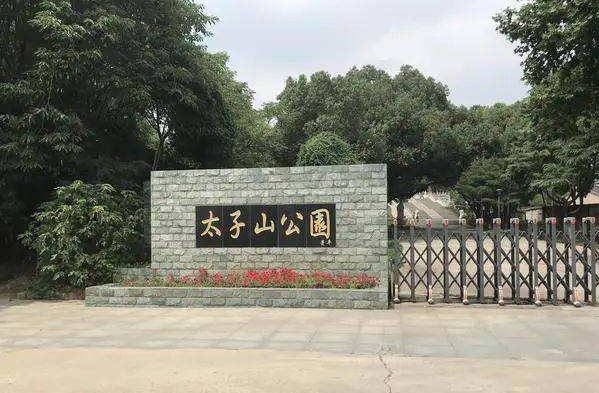 南京太子山公園手機智慧導覽上線了，完全實現把“導游裝進手機里”.png