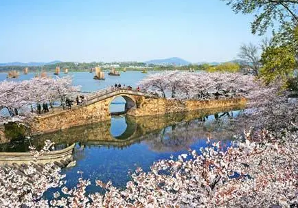 太湖黿頭渚風景區手繪地圖導覽上線，結合現場實景還原景區地圖3.png