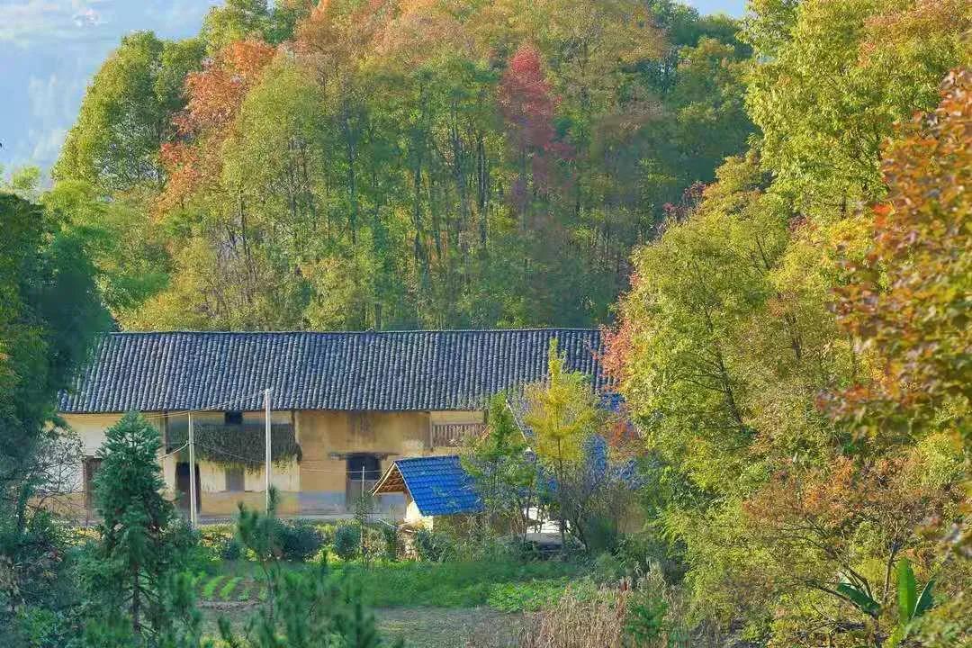 三峽鏈子崖旅游生態鴻蒙原子化制作公司.jpg