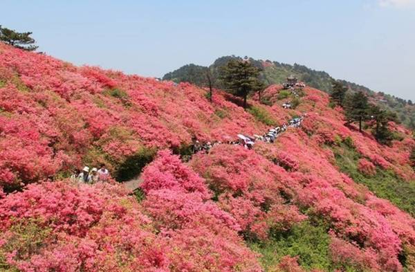 龜峰山風景區鴻蒙原子化服務商小泥人.jpeg