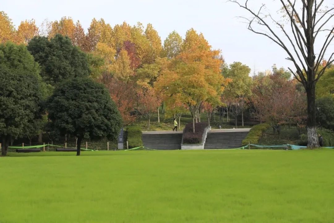 武漢王家墩公園智能導(dǎo)覽制作公司.jpg