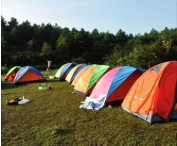 帳篷公園/露營基地售檢票收銀一體化票務系統.png