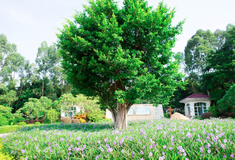 什么露營公園票務系統比較好用，如何去選擇露營基地軟件系統.png