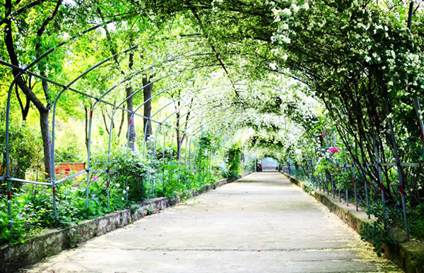 武漢香草花田產業園導覽小程序功能.jpg