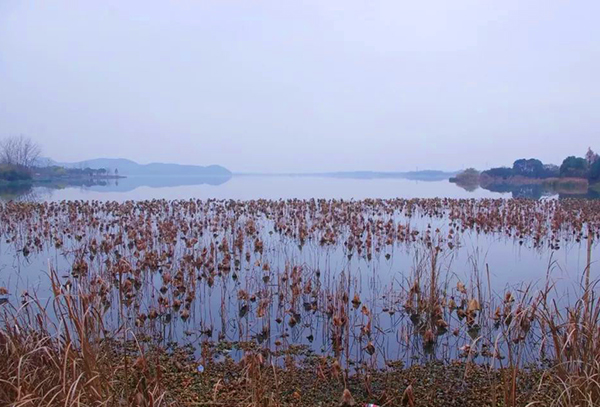 武漢東湖吹笛景區(qū)手繪地圖導(dǎo)覽制作公司.jpg