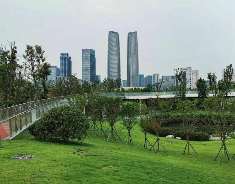 交子公園智能地圖導(dǎo)覽上線結(jié)合現(xiàn)場(chǎng)實(shí)景還原公園地圖.png