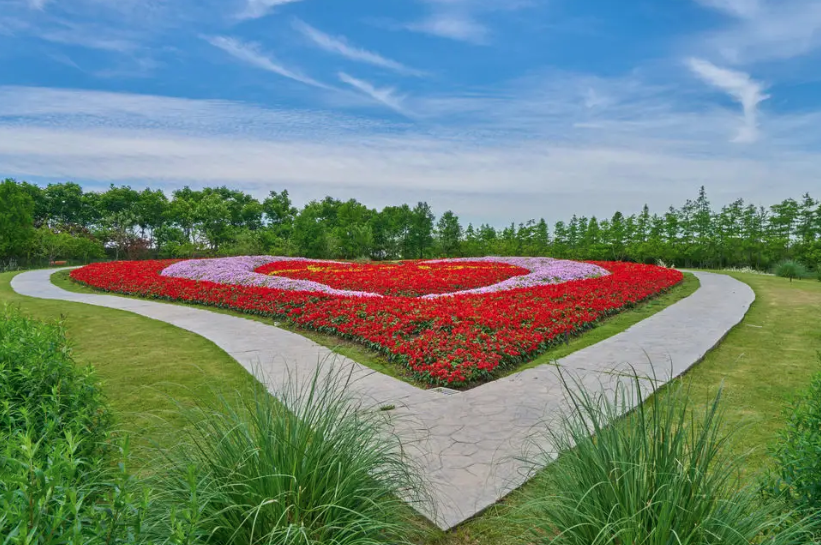 花鄉(xiāng)公園智能電子導(dǎo)覽上線了解花鄉(xiāng)的獨(dú)特魅力.png