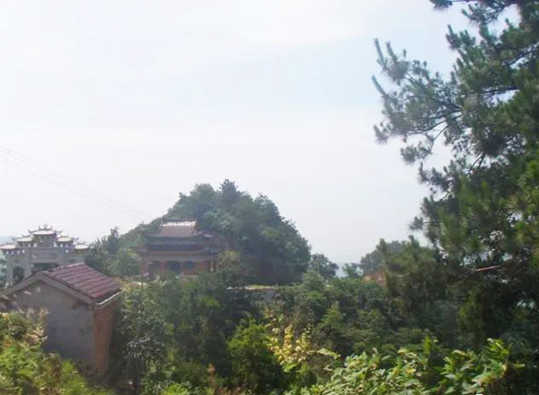 橫崗山森林公園智慧導(dǎo)覽服務(wù)商.jpg