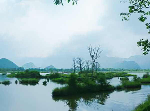 大九湖國家濕地公園智慧導(dǎo)覽功能.jpg