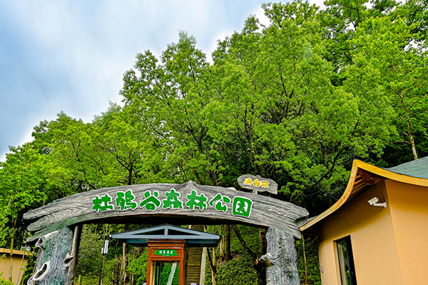 溪口杜鵑谷森林公園快樂苑景區系統.png