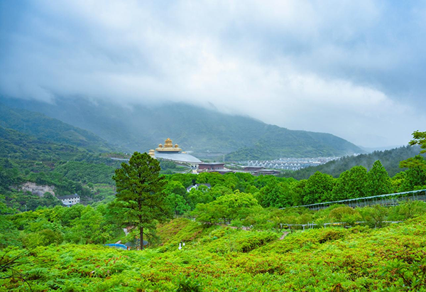 溪口杜鵑谷森林公園快樂苑景區系統功能.png