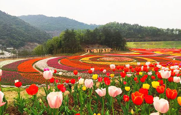 秦巴生態(tài)植物園智慧導(dǎo)覽.jpeg