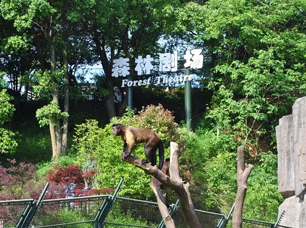 長沙生態動物園智能導覽系統.jpg