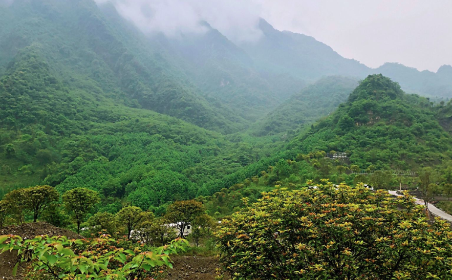 智慧景區(qū)票務(wù)系統(tǒng)掃碼入園操作流程.png