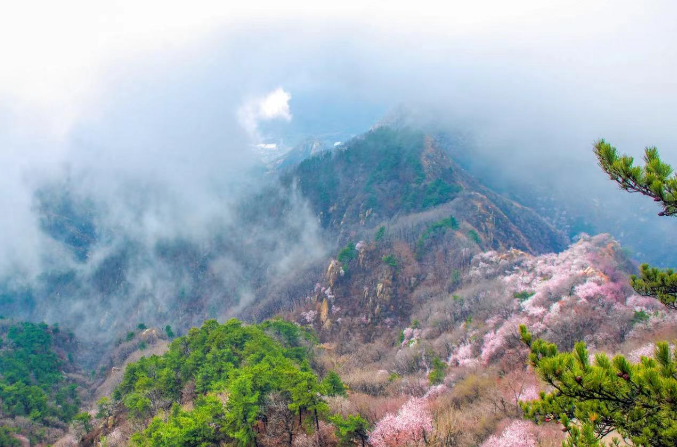 天津盤山風景名勝區(qū)多商戶多業(yè)態(tài)系統(tǒng)方案.png