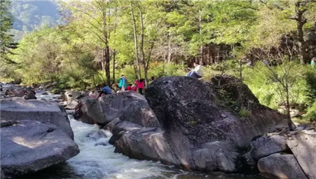 旅游景區票務系統全渠道營銷.png