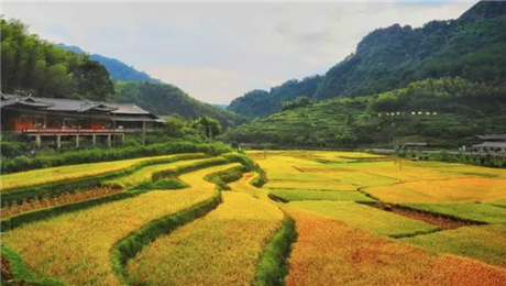 景區門票系統輕松實現購票、取票、驗票一體化管理.png