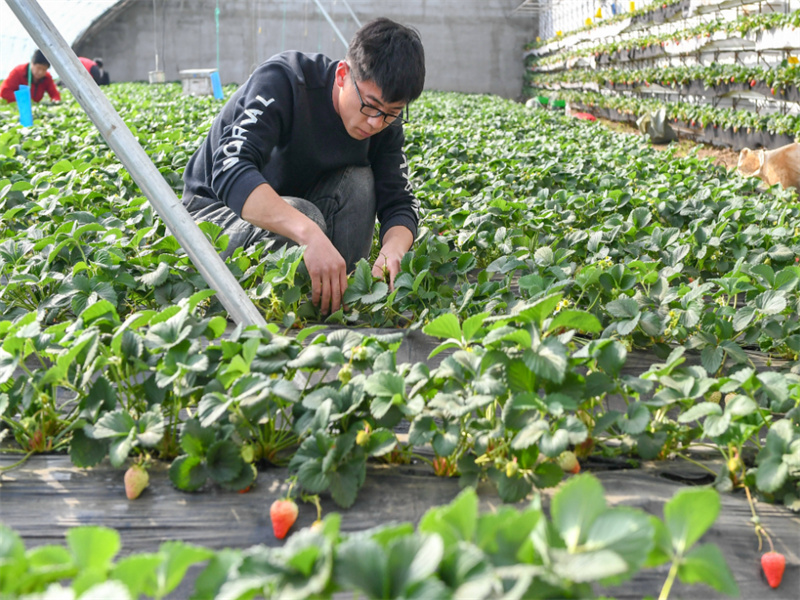 霸州鑫地美老閘機(jī)成功改造重新運(yùn)用的方案