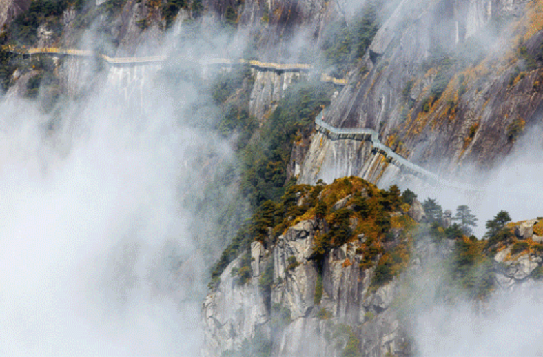 武功山金頂露營基地多業態景區管理系統方案.png