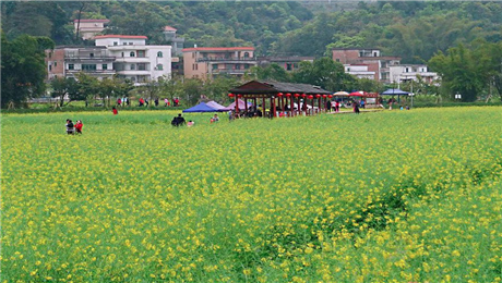 景區(qū)票務系統(tǒng)分銷功能小程序分銷平臺搭建全民分銷.png