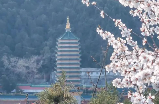 北京八大處公園渠道分銷系統提高分銷管理能力.png