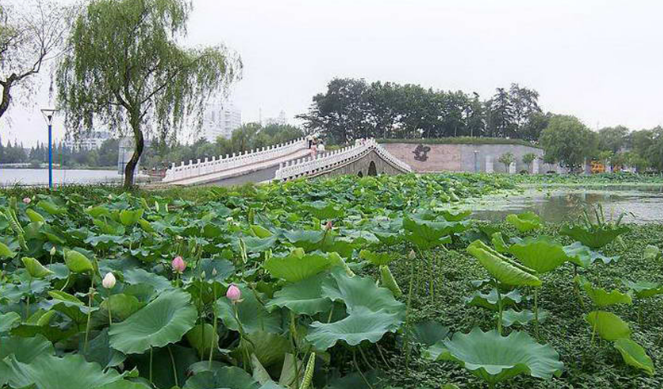 江蘇淮安市景區票務管理系統基本概念.png