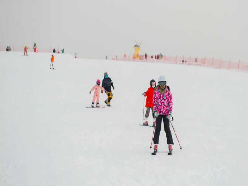 黑龍江哈爾濱伏爾加莊園城堡滑雪場電子票系統方案.png